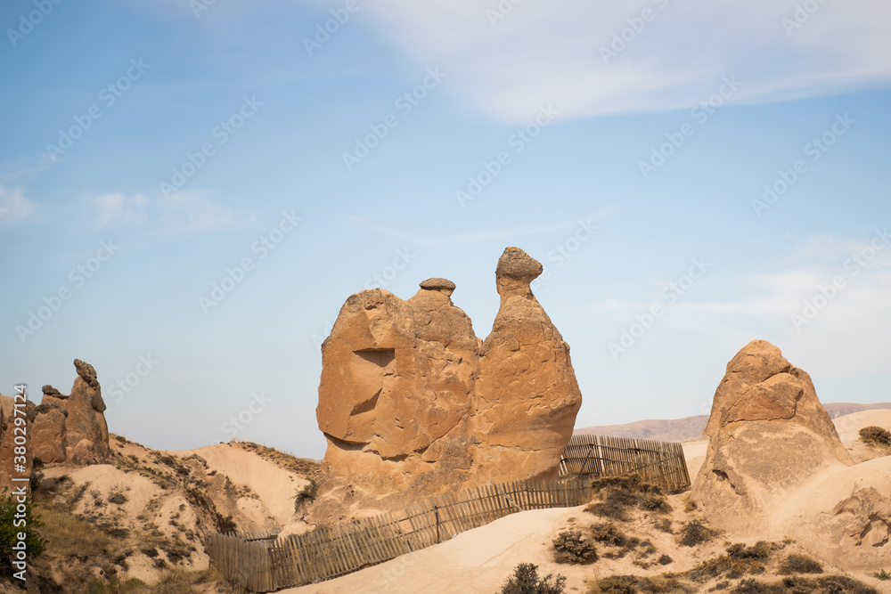 Brown camel shaped rock in the Devrent Valley near Uchisar, Cappadocia, Turkey.