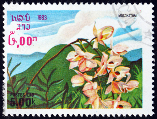 Postage stamp Laos 1983 musky-smelling dendrobium, flowering pla photo