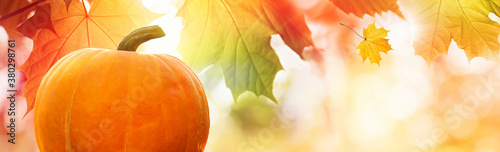 Thanksgiving pumpkin on autumn leaves background