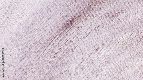 
Oil paint stains on the fabric. Defocused blurred background for web design.
