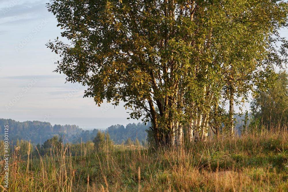 Fototapeta premium autumn landscape, Russia 