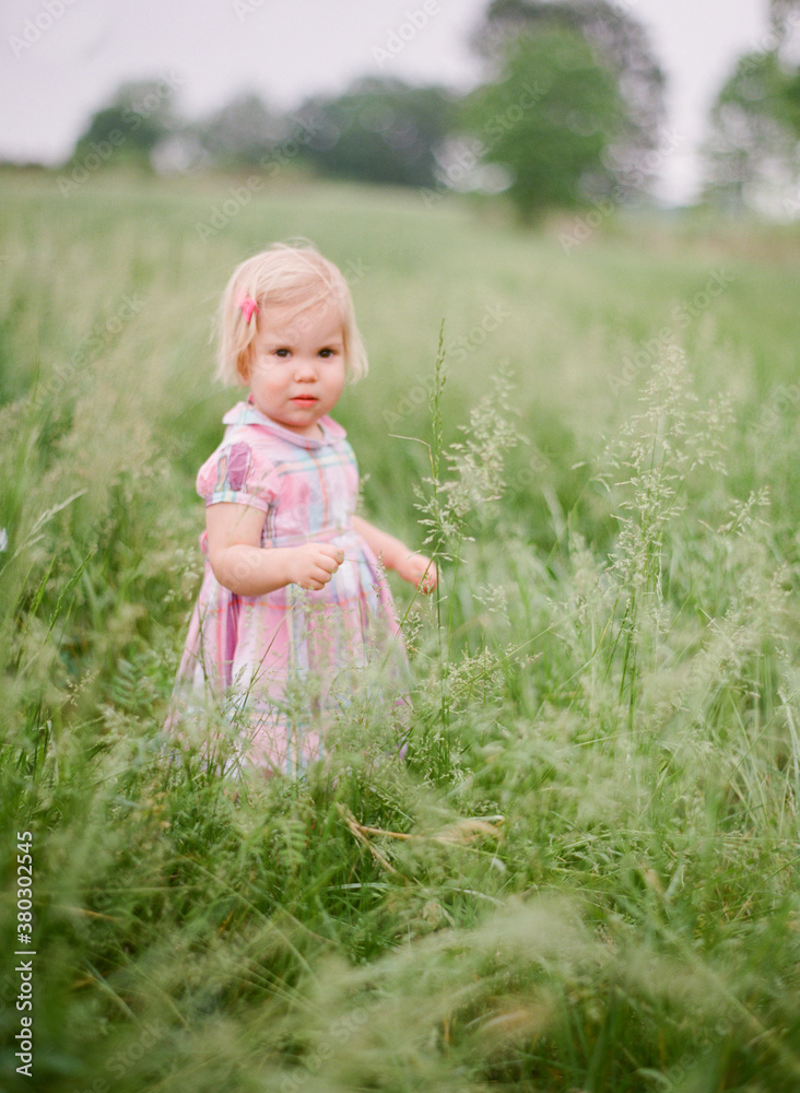 Girl standing in a tall field of grass Girl standing in a tall field of grass