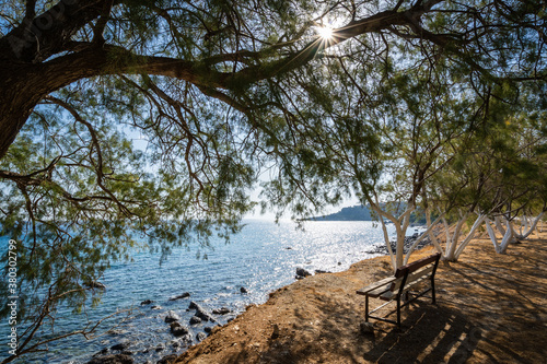 Sitzbank unter Tamarisken Baum an griechischem Strand  © Markus