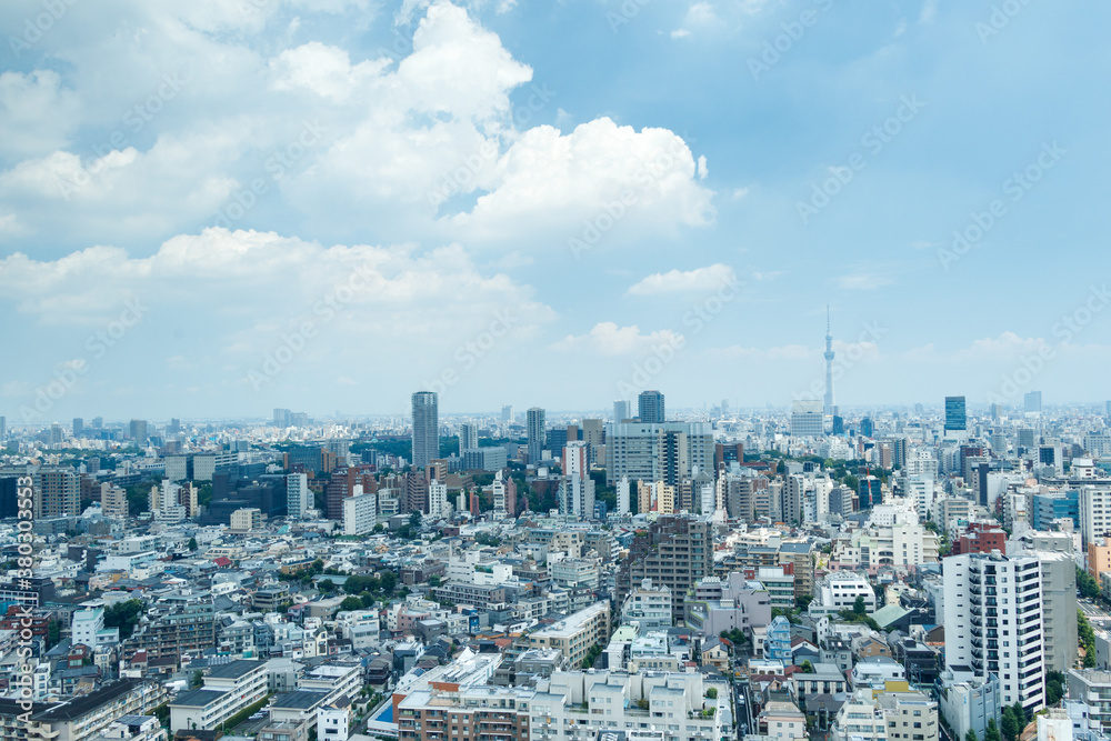青空を背景に文京区から見た墨田区方面の風景