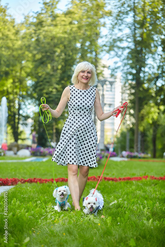 adult woman in the park with two Maltese lapdogs photo