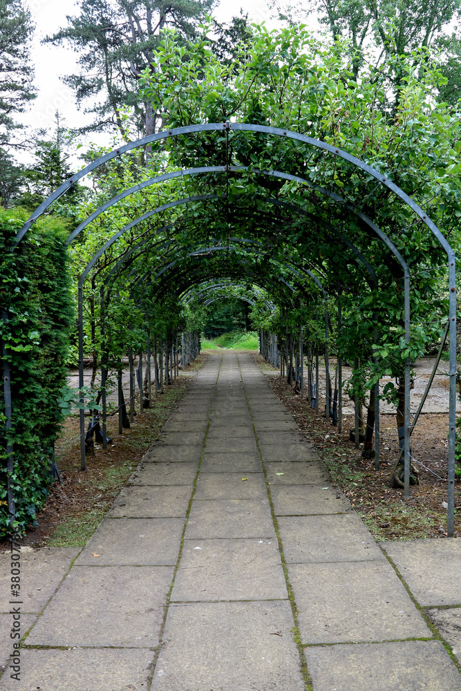 Arbour with Apple Trees in a Country House Garden