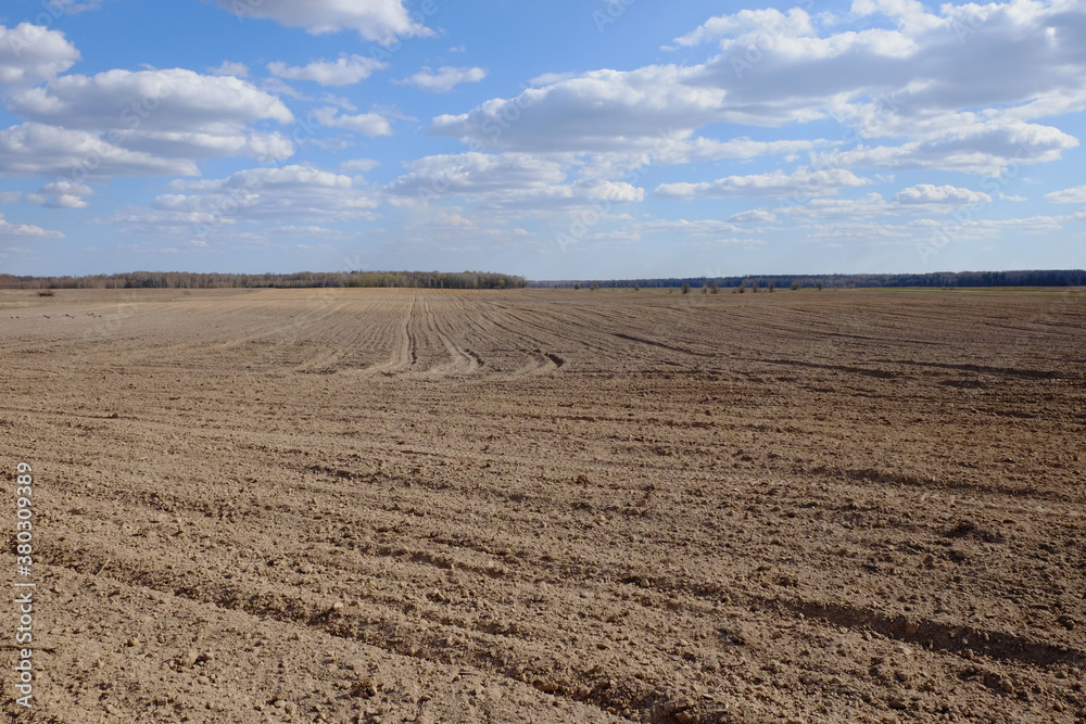 A plowed agricultural field. Blue sky over a farm field.