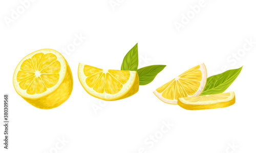 Halved Lemon Citrus Fruit with Green Leaf Vector Set