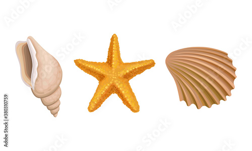 Sea Habitants with Barnacle and Starfish Vector Set