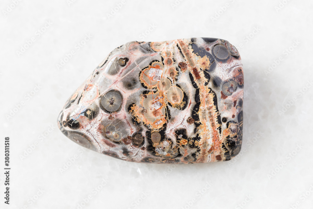 closeup of sample of natural mineral from geological collection - polished Leopard Skin Jasper (Jaguar Stone) rock on white marble background from Mexico closeup of sample of natural mineral from geological collection - polished Leopard Skin Jasper (Jaguar Stone) rock on white marble background from Mexico