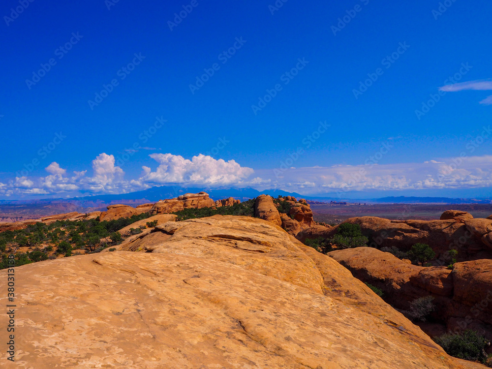 view on top arches at the rock aarches in  Arches national park, Utah, USA