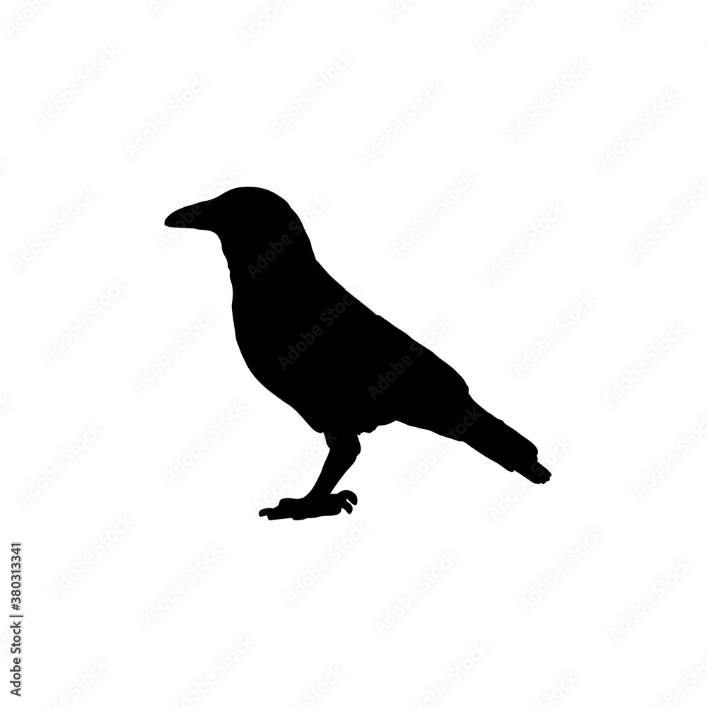 silhouette of a crow. vector flat illustration silhouette of a crow. vector flat illustration