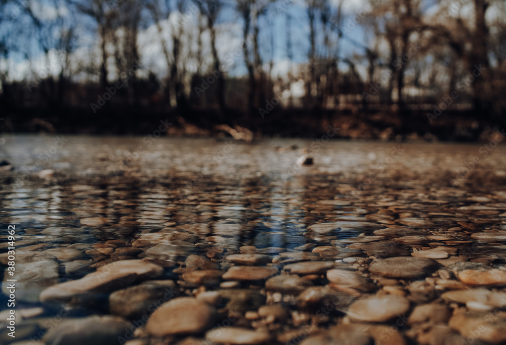 Fototapeta premium river in autumn