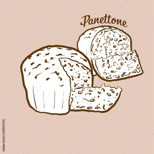 Hand-drawn Panettone bread illustration