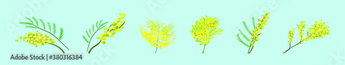 set of mimosa flower cartoon icon design template with various models. vector illustration isolated on blue background