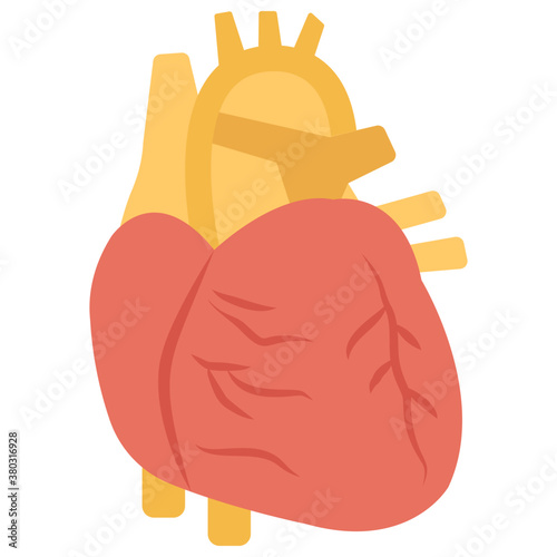 Heart