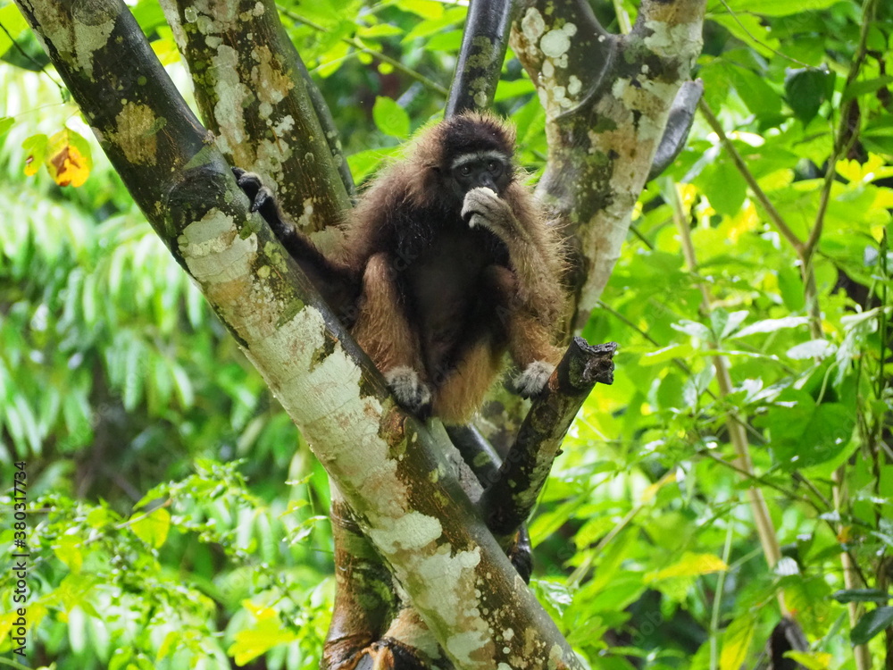 Fototapeta premium OLYMPUS DIGITAL CAMERA