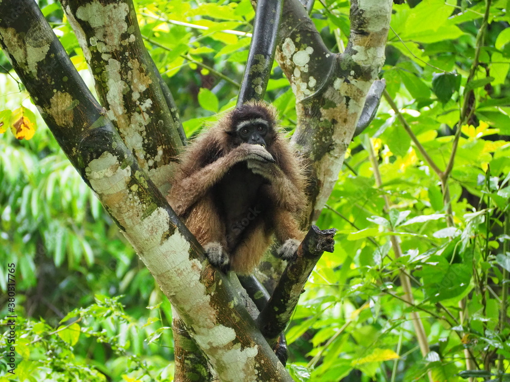 Fototapeta premium OLYMPUS DIGITAL CAMERA