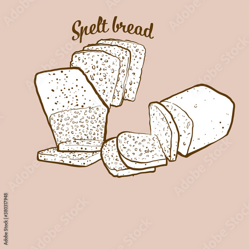 Hand-drawn Spelt bread bread illustration