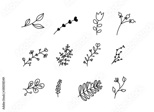 Set of vector sketches and line doodles logo. Hand drawn design elements isolated flowers, leaves, herbs for decoration prints, labels, patterns. Illustration coloring book