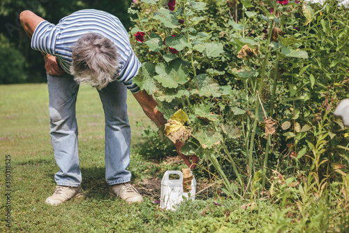 Senior Woman Putting Pest Bugs from Flowers and Plants into a Container with Insecticide in Rural Garden photo