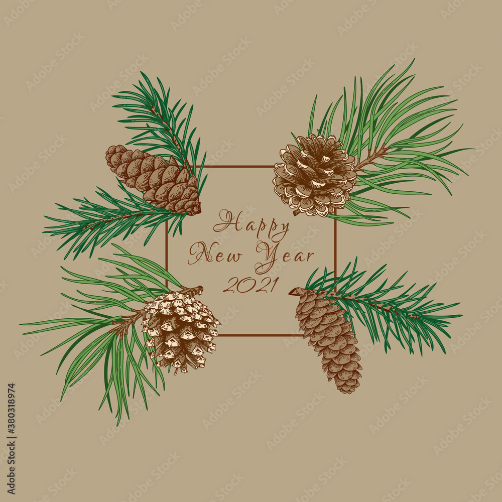 Fototapeta premium Botanical frame with fir and pine branches and cones.Vector illustration. Beige background and colorful pattern.