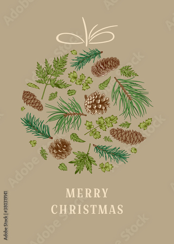 Holiday card with winter plants. Christmas ball. Vector illustration. Beige background and colorful pattern.