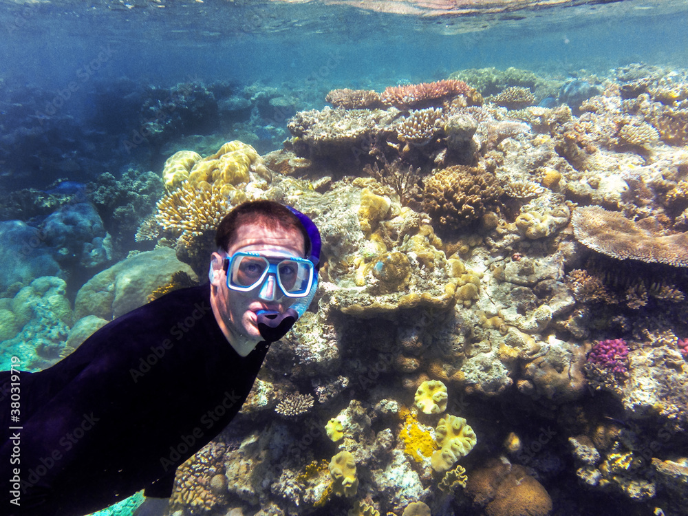 man snorkeling on the Great Barrier Reef man snorkeling on the Great Barrier Reef