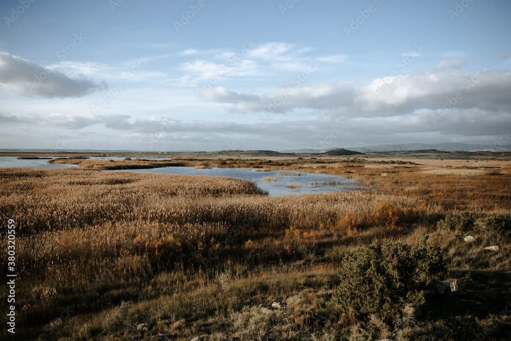 Fototapeta premium Lago