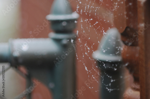 Snow On Spiderweb photo