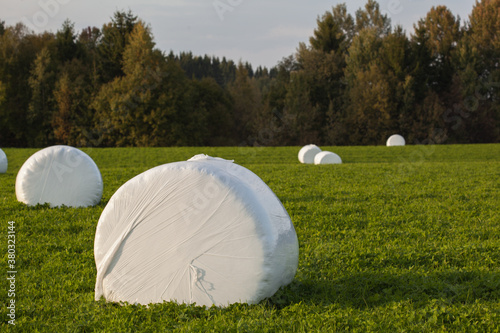 Straw bales wrapped in plastic on a green field