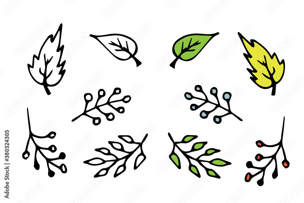 vector hand-drawn cartoon leaves and branches. isolated on a white background. autumn element. graphic icon. coloring book with a color example.