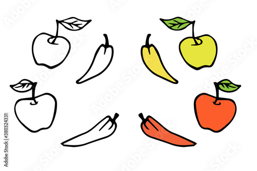 vector hand-drawn apples and peppers. isolated on a white background. autumn food elements. graphic icon. coloring book with a color example.