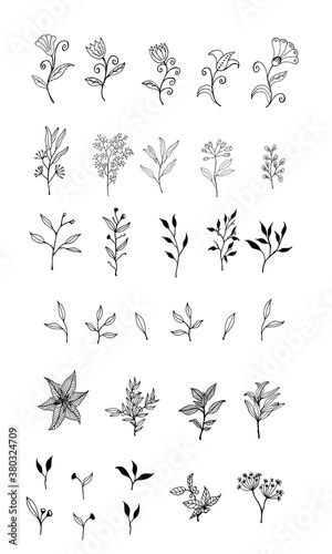 Set of medicinal herbs and leaves on a white background. Stylish wallpaper with plants for the manufacture of medicines on a white background. Textiles with summer herbs.