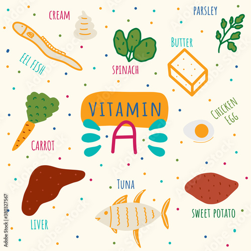Vitamin A containing foods: liver, spinach, parsley, butter, eggs, eel, tuna, sweet potato, carrot. Beta-carotene foods hand drawn vector illustration.