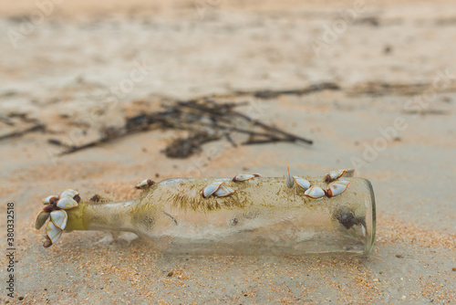 A Clear Glass Bottle In The Sand At The Beach With Barnacles photo