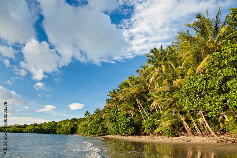 Beach, Cape Tribulation, Daintree National Park, Queensland Beach, Cape Tribulation, Daintree National Park, Queensland