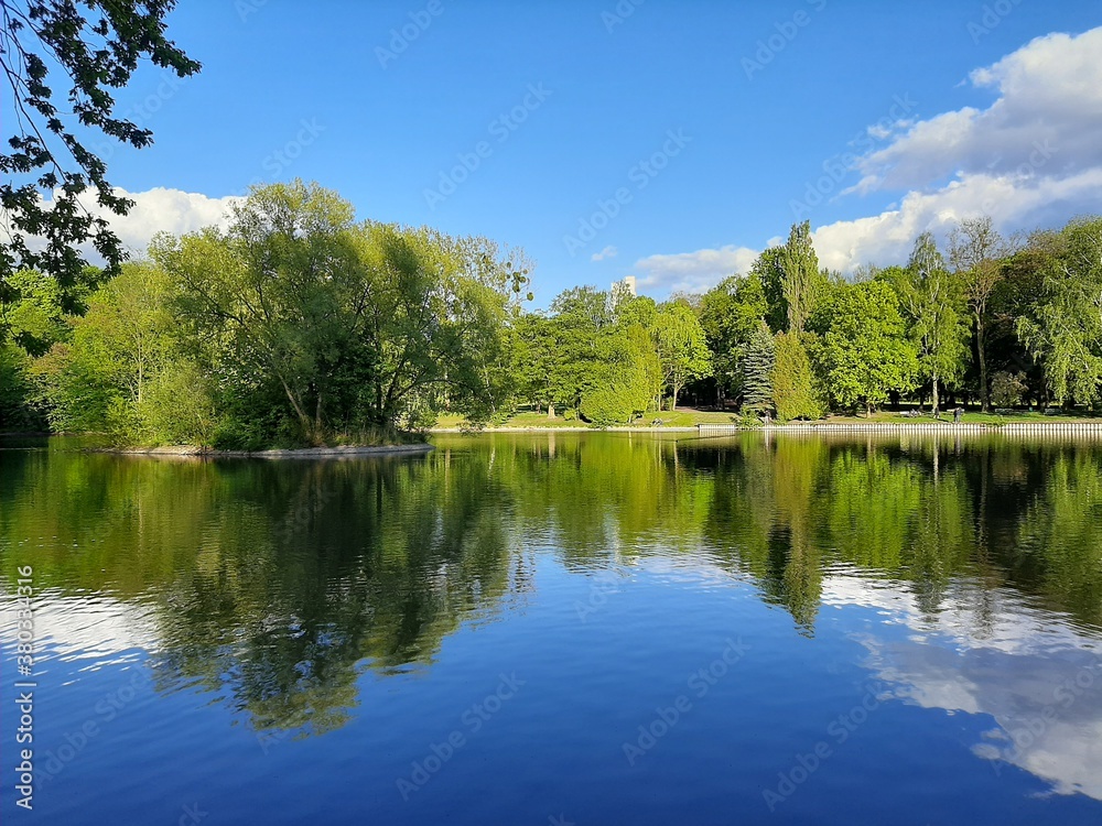 Obraz premium lake in the park