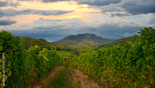 Blick auf den Ungersberg im Elsass