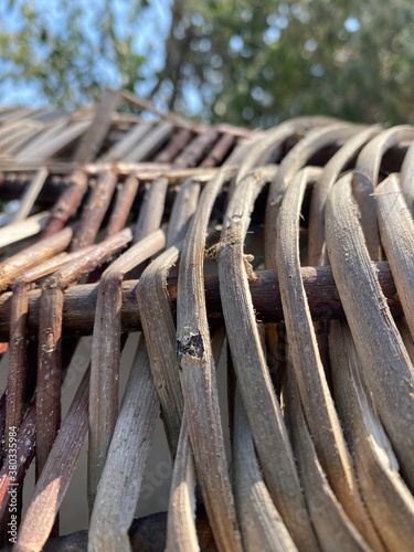 abstract nature texture may used as background