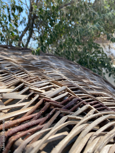 abstract nature texture may used as background