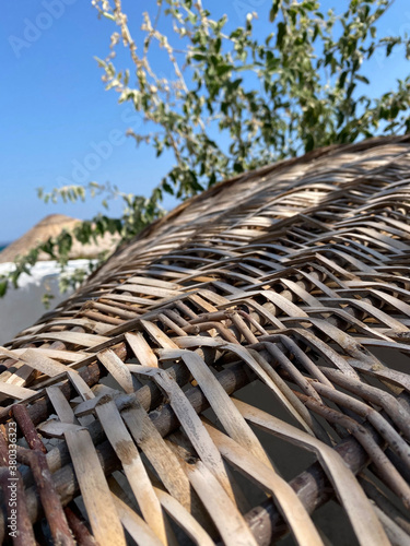 abstract nature texture may used as background