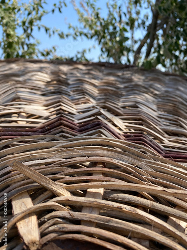 abstract nature texture may used as background