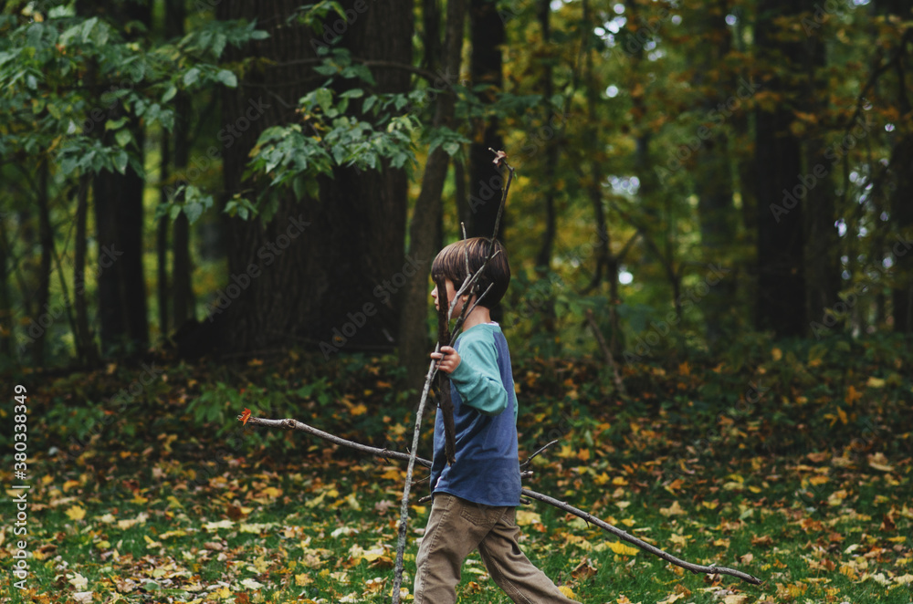 Boy and Sticks for a Fire Boy and Sticks for a Fire