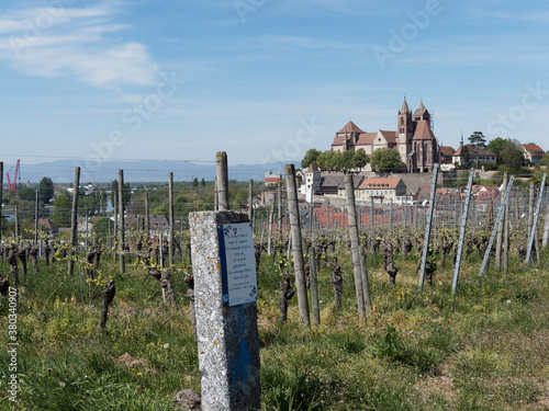 Breisach am Rhein - Blick auf die Altstadt und Münsterberg auf den Eckartsberg Reben Berg photo