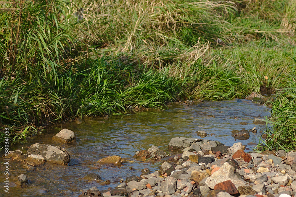a shallow stream flows in a lowland a shallow stream flows in a lowland