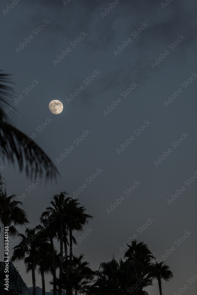 Moon at Twilight in a Summer Night Moon at Twilight in a Summer Night