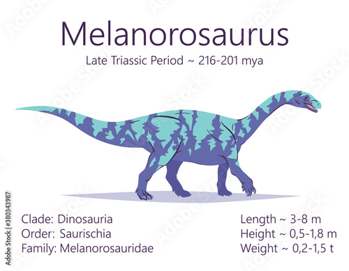 Melanorosaurus. Sauropodomorpha dinosaur. Colorful vector illustration of prehistoric creature melanorosaurus  description of characteristics  period of life isolated on white background. Fossil dino.