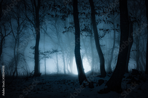 Obraz na płótnie dark misty forest panorama fantasy halloween landscape w salonie