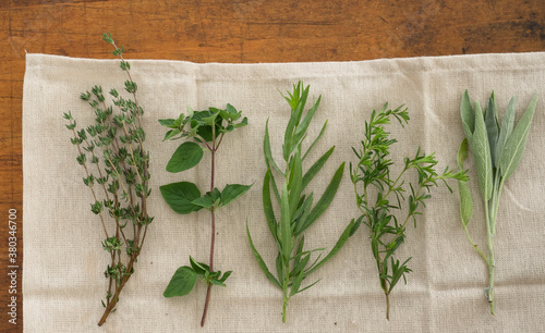 Variation of herbs on table photo